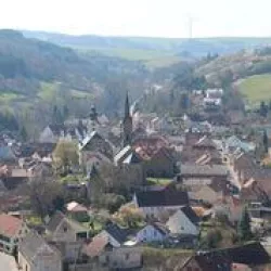 Blick vom Wingertshäuschen am Seelberg