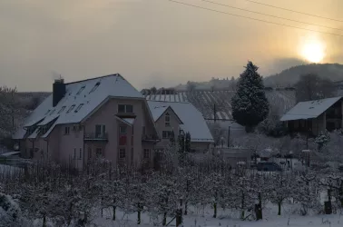 Winterliches Castell -Leinsweiler (© Elke Pfenninger-Lauth)