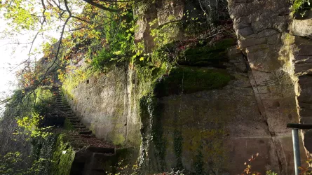 Burgruine Neukastel