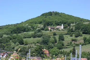 Ein grüner Hügel mit dicht bewaldeten Hängen. Oben auf dem Hügel steht ein kleines Gebäude mit einem Glockenturm.
