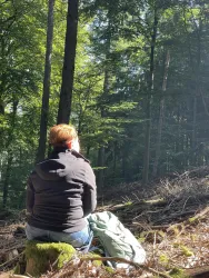 Eine Person sitzt auf einem Baumstumpf im Wald. Sonnenlicht fällt durch die Bäume und schafft eine ruhige Atmosphäre.