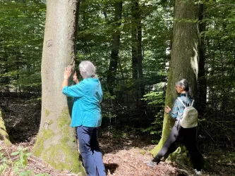 Zwei Personen stehen in einem Wald und berühren Baumstämme. Der Boden ist mit Laub bedeckt und es ist helles, grünes Licht sichtbar.