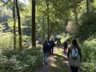 Eine Gruppe von Personen wandert auf einem schmalen Pfad durch einen dichten Wald. Die Sonne scheint durch die Bäume und schafft eine friedliche Atmosphäre.