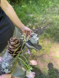Eine Person hält einen Ast mit einer Tannenzapfen-Dekoration und kleinen Blumen. Im Hintergrund sind ein paar Wanderschuhe und grüne Natur zu sehen.