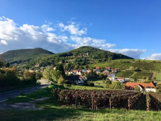 Leinsweiler