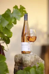 Schunck Rosé
