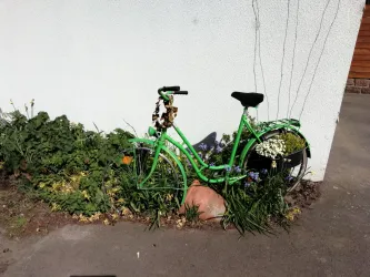 Ein grünes Fahrrad, das in einer Blumenpracht steht. Der Hintergrund zeigt eine weiße Wand und fröhliches Grün von Pflanzen.