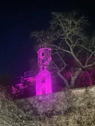 Ein mysteriöses Gebäude in der Dunkelheit, beleuchtet von pinkem Licht. Im Vordergrund sind kahle, verzweigte Bäume zu sehen.