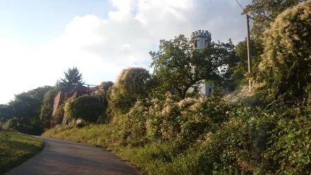 Eine ruhige Straße führt an einer bewachsenen Wiese vorbei. Im Hintergrund sind Bäume und ein Aussichtsturm zu sehen.