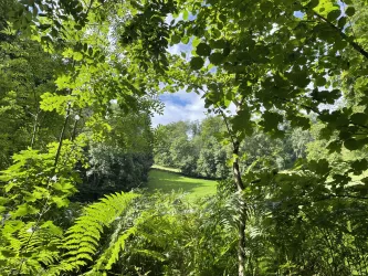 Waldbaden Grün