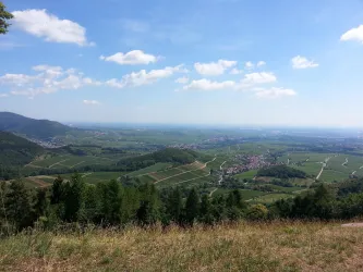 Aussicht vom Föhrlenberg