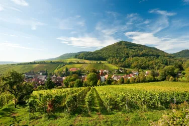 Weinlage Leinsweiler Sonnenberg