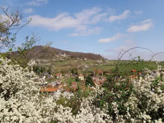 Frühsommer in Leinsweiler