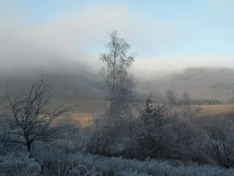 Spätherbst mit erstem Frost im Leinsweiler Umland