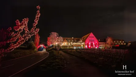 Ein malerisches Gebäude mit bunten Lichtern in der Nacht. Im Vordergrund führt eine ruhige Straße vorbei, umgeben von Bäumen und Weinreben.