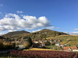 Blick auf Leinsweiler (© PFÄLZER-verFÜHRUNGEN G.Stübinger-Kohls)