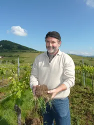 Ein Mann steht in einem Weinberg und hält eine Handvoll Erde mit Gras. Im Hintergrund sind grüne Hügel und ein blauer Himmel zu sehen.