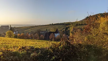 Martinskirche im Herbst (© Nicola Hoffelder, Landau-Land)