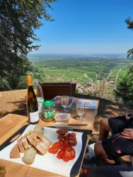 Picknick am Hämmelberg