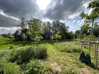 Arboretum (© Verein SÜW Edenkoben)