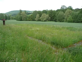 Reipoltskirchen Villa Rustica