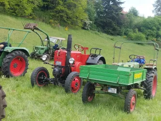 Drei historische Traktoren stehen auf einer grünen Wiese. Der rote Traktor hat ein klassisches Design, während der grüne Anhänger daneben geparkt ist.