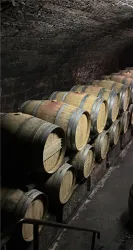 Weingut Knauff Barriquekeller 1 (© TI Wachenheim)