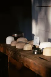 MS3 (© Tourist Info Wachenheim)