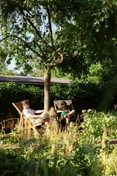 MS5 (© Tourist Info Wachenheim)