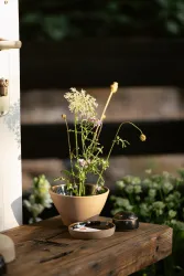 MS4 (© Tourist Info Wachenheim)