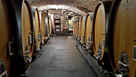 Holzfasskeller (© Weingut Blaul&Sohn GbR)