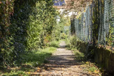 Ein schmaler Weg, umgeben von üppigem Grün und einem Zaun. Der Weg führt durch eine ruhige, natürliche Umgebung.