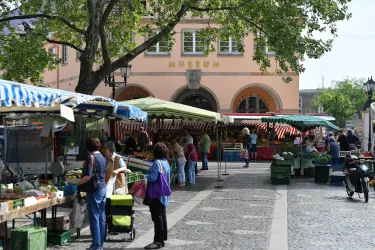 Ein lebhafter Markt mit Ständen für frische Lebensmittel und Pflanzen. Im Hintergrund ist ein Museum zu sehen, umgeben von Bäumen.
