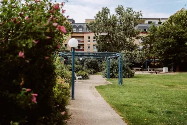 Ein schöner Park mit einem gepflasterten Weg und grünen Bereichen. Bunte Blumen und Bäume umrahmen die Landschaft.