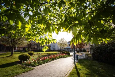 Ein schöner Park mit bunten Blumenbeeten und sonnigem Wetter. Das grüne Laub der Bäume rahmt den Weg ein.