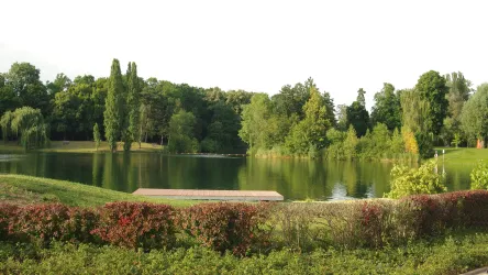 Ein ruhiger See umgeben von Bäumen und grüner Vegetation. Die Landschaft ist friedlich und einladend.