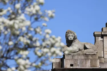 Eine Statue eines Sphinx auf einem Gebäude. Im Vordergrund blühen helle Blumen.