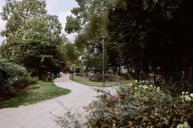 Ein ruhiger Parkweg, gesäumt von Bäumen und blühenden Pflanzen. Der Weg führt durch eine grüne Umgebung und lädt zum Spazieren ein.