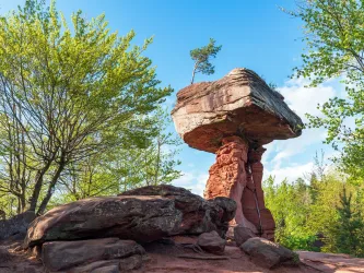 In diesem Bild vom Pfälzer Wald ist im Zentrum des Bildes eine Steinformation zu sehen. Im Hintergrund zu sehen ist der Pfälzer Wald.