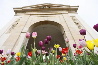 Ein monumentales Tor umgeben von bunten Tulpen. Die blühenden Blumen verleihen der Szene eine fröhliche Atmosphäre.