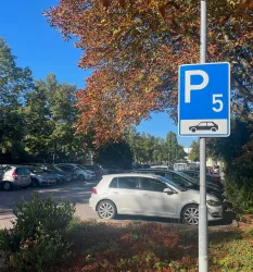 Ein Parkplatz-Standort mit einem blaue P-Schild, das auf den Platz P5 hinweist. Im Hintergrund sind mehrere parkende Autos und Bäume mit bunten Blättern zu sehen.