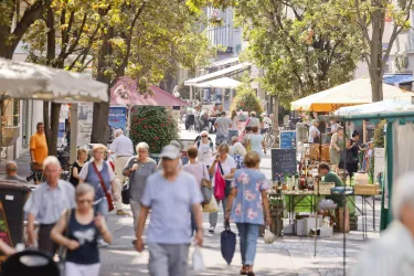 Ein belebter Marktplatz mit vielen Menschen und Ständen unter Bäumen. Verschiedene Marktstände bieten Lebensmittel und Waren an.
