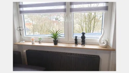 Ein Fensterbrett mit verschiedenen Pflanzen und dekorativen Figuren. Draußen sind Bäume sichtbar und es ist hell im Raum.