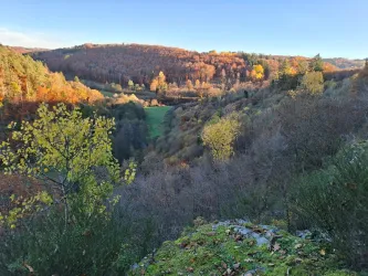 Eine malerische Landschaft mit herbstlichen Bäumen und sanften Hügeln. Der Himmel ist klar und die Farben der Natur strahlen in warmen Tönen.