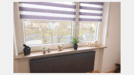 Ein Fensterbrett mit Pflanzen und dekorativen Objekten. Im Hintergrund sind Bäume und ein grauer Himmel zu sehen.