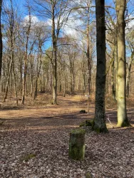 Fliegenstein (Menhir)