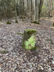 Fliegenstein (Menhir)