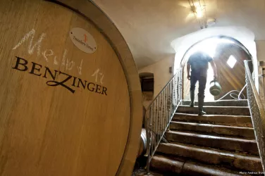Keller Bio-Weingut Benzinger