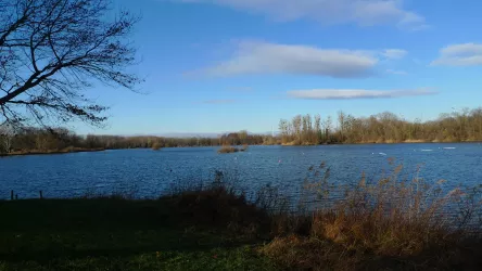 Baggersee