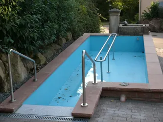 Ein leeres Schwimmbecken mit blauer Innenfläche und Handläufen. Es ist von Pflanzen und Steinen umgeben.